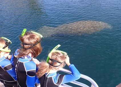 Children Learn about manatees in Crystal River Florida.