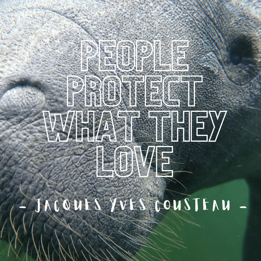 people protect what they love. www.explorida.com