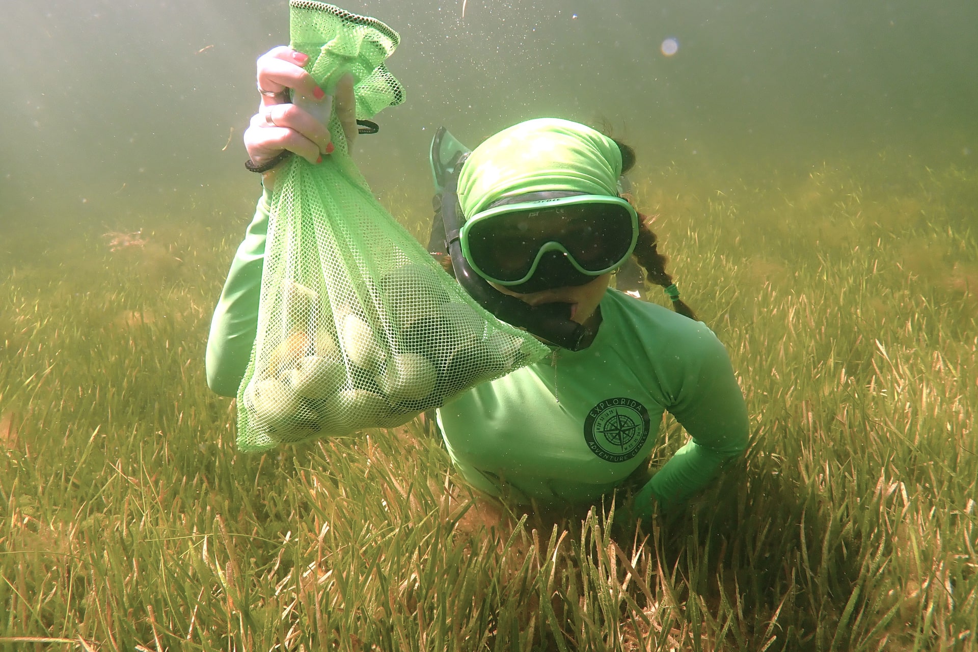 Summers are for Scalloping in Florida!