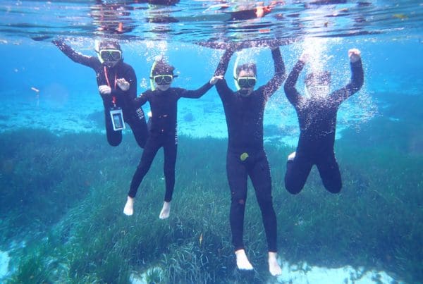 Swim with Manatees in Crystal River