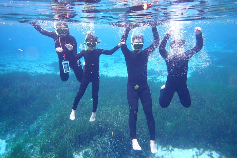 Swim with Manatees in Crystal River